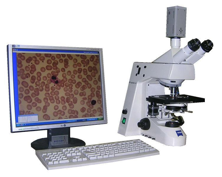 Комплекс автоматизированной микроскопии МЕКОС-Ц2.  Комплектация E200/50/MS2/A631fc/P4/20