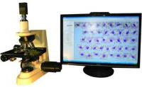 Комплект микроскопии Eclipse50i/LEP1/CB200/Quad/24