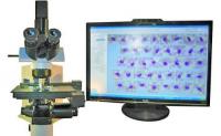 Комплект микроскопии PlanCN/C/ccd2M25/xyz1/ quad /24