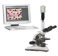 Программное обеспечение для микроскопии BioVision