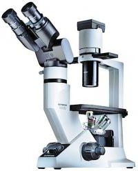 Микроскоп инвертированный OLYMPUS CKX41 (Серия CKX)