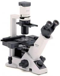 Микроскоп инвертированный OLYMPUS CKX31 (Серия CKX)