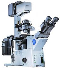 Микроскоп инвертированный OLYMPUS IX81 (Серия IX2)