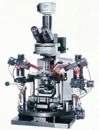 Микроскоп прямой OLYMPUS BX51WI (Серия BX2WI)