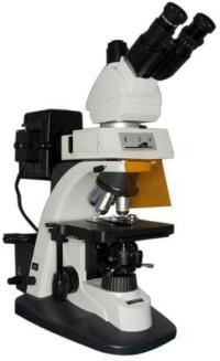Люминесцентный микроскоп БИОМЕД 6 вариант ПР1 ЛЮМ