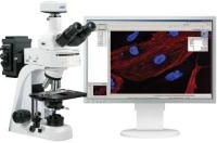 Цифровая система анализа для флуоресцентной микроскопии Vision Epi