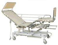 Кровать функциональная TE-PA Medical 9020